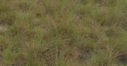 Beach Community Land      $1,700 per Lot