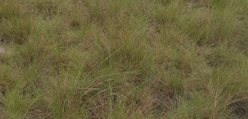 Beach Community Land      $1,700 per Lot