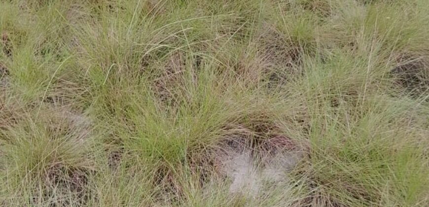 Beach Community Land      $1,700 per Lot