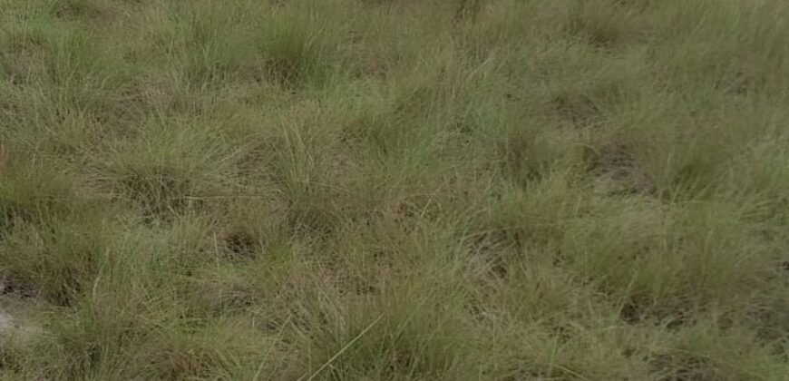 Beach Community Land      $1,700 per Lot