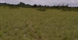 Beach Community Land      $1,700 per Lot