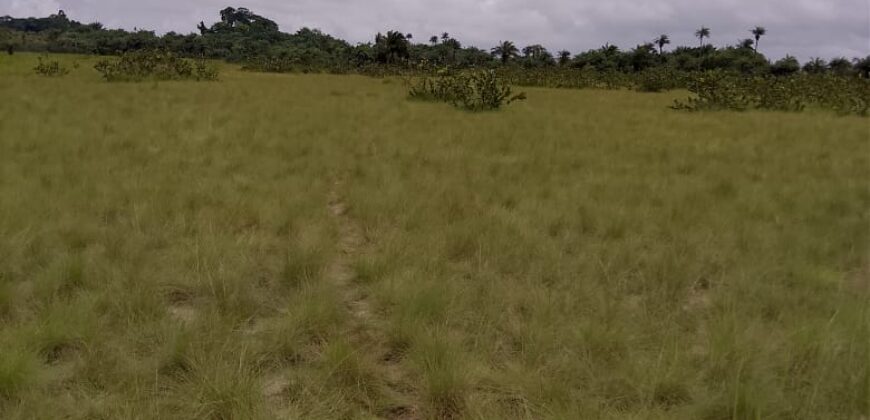 Beach Community Land      $1,700 per Lot