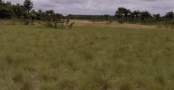 Beach Community Land      $1,700 per Lot