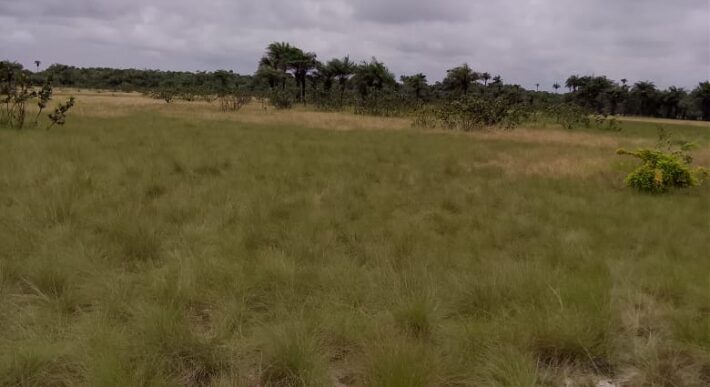 Beach Community Land      $1,700 per Lot