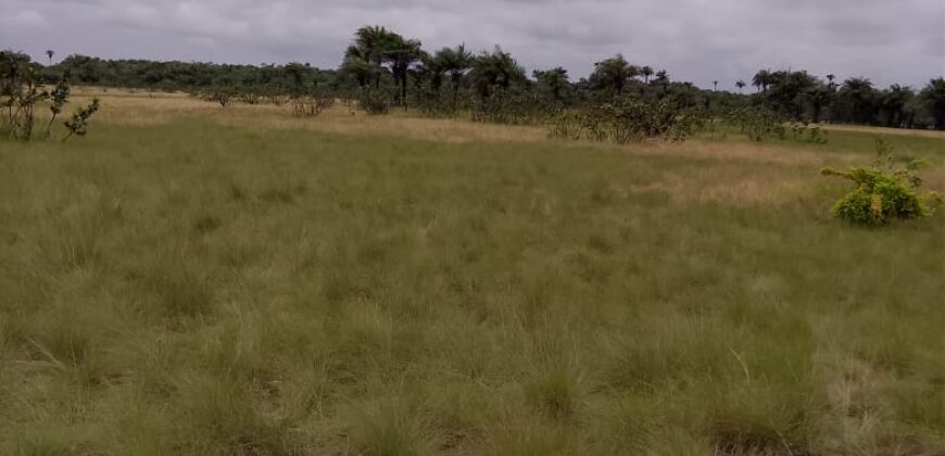Beach Community Land      $1,700 per Lot