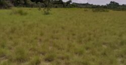 Beach Community Land      $1,700 per Lot