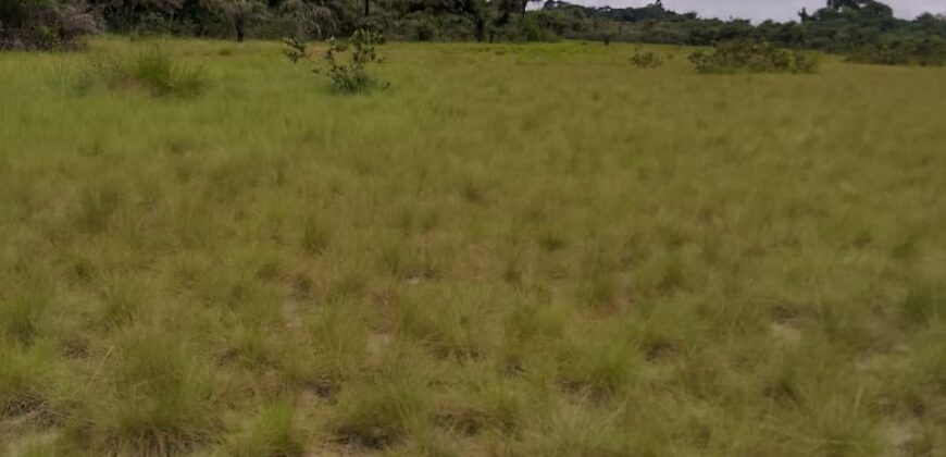 Beach Community Land      $1,700 per Lot