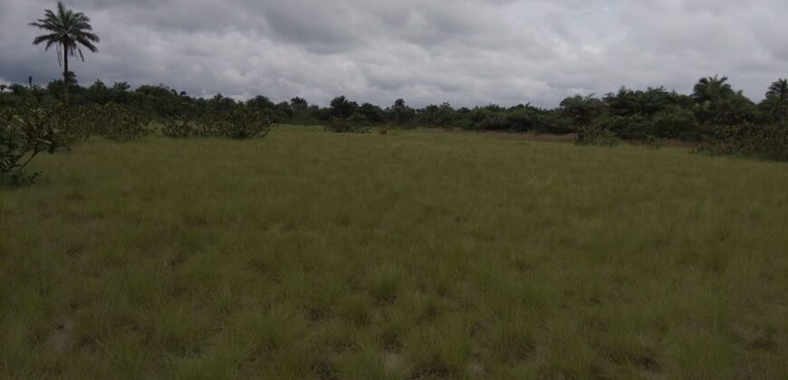 Beach Community Land      $1,700 per Lot