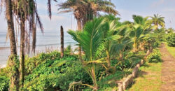 Luxury Beachfront Mansion in Lower Marbigi $590K or Lease for $1K/Month Long Term.