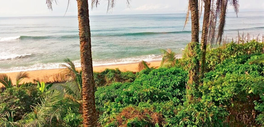 Luxury Beachfront Mansion in Lower Marbigi $590K or Lease for $1K/Month Long Term.