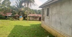Unfinished House in Johnsonville Area      $30,000