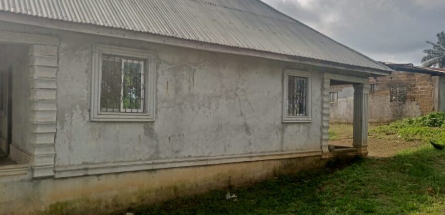 Unfinished House in Johnsonville Area      $30,000