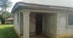 Unfinished House in Johnsonville Area      $30,000