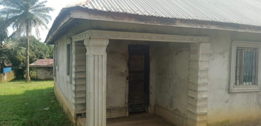 Unfinished House in Johnsonville Area      $30,000