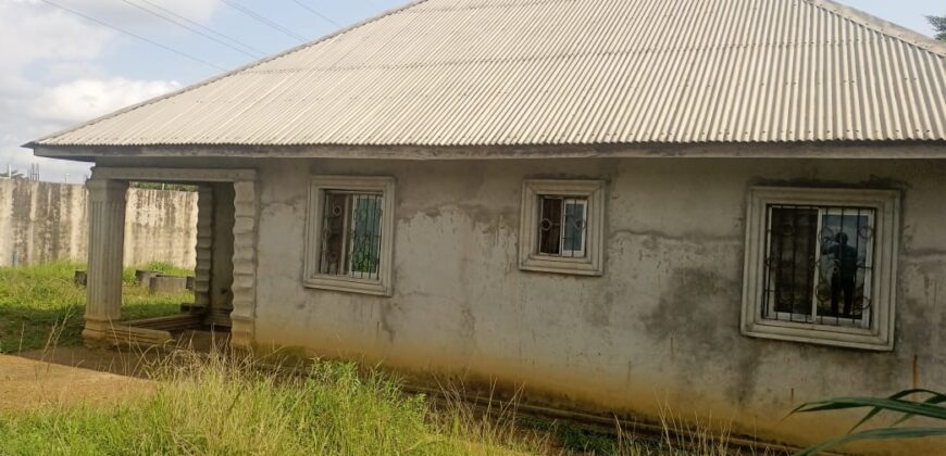 Unfinished House in Johnsonville Area      $30,000