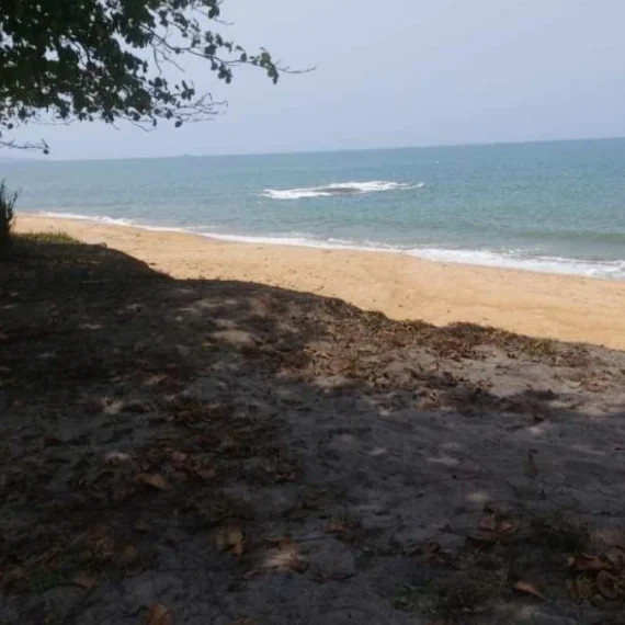 land